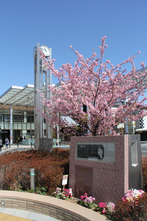 本田美奈子 モニュメント 観光マップ 埼玉県朝霞市