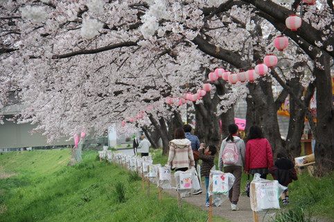 黒目川花まつり 観光マップ 埼玉県朝霞市