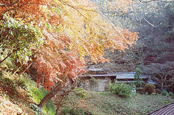 逗子市蘆花記念公園 観光マップ 神奈川県逗子市